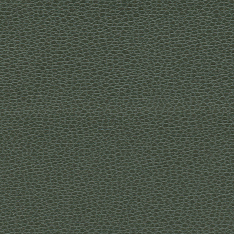 Promessa fabric in hunter color - pattern number 363-4516 - by Schumacher in the Ultraleather collection