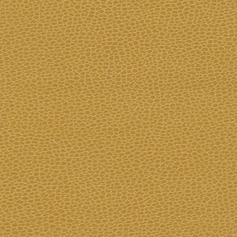 Promessa fabric in sunshower color - pattern number 363-5258 - by Schumacher in the Ultraleather collection