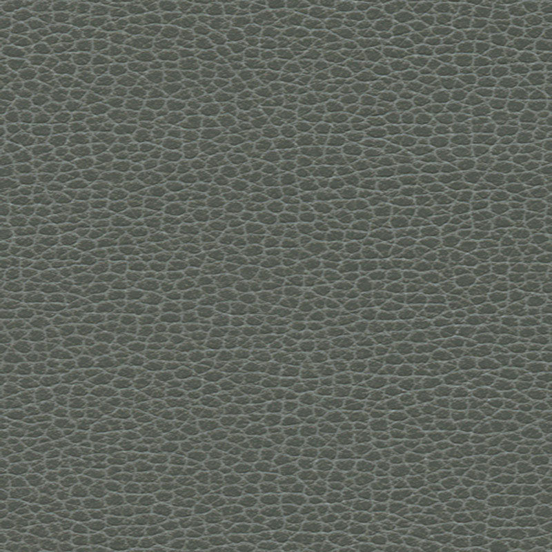 Promessa fabric in shale color - pattern number 363-5817 - by Schumacher in the Ultraleather collection