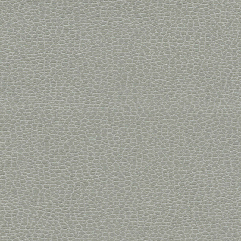 Promessa fabric in ash color - pattern number 363-5818 - by Schumacher in the Ultraleather collection