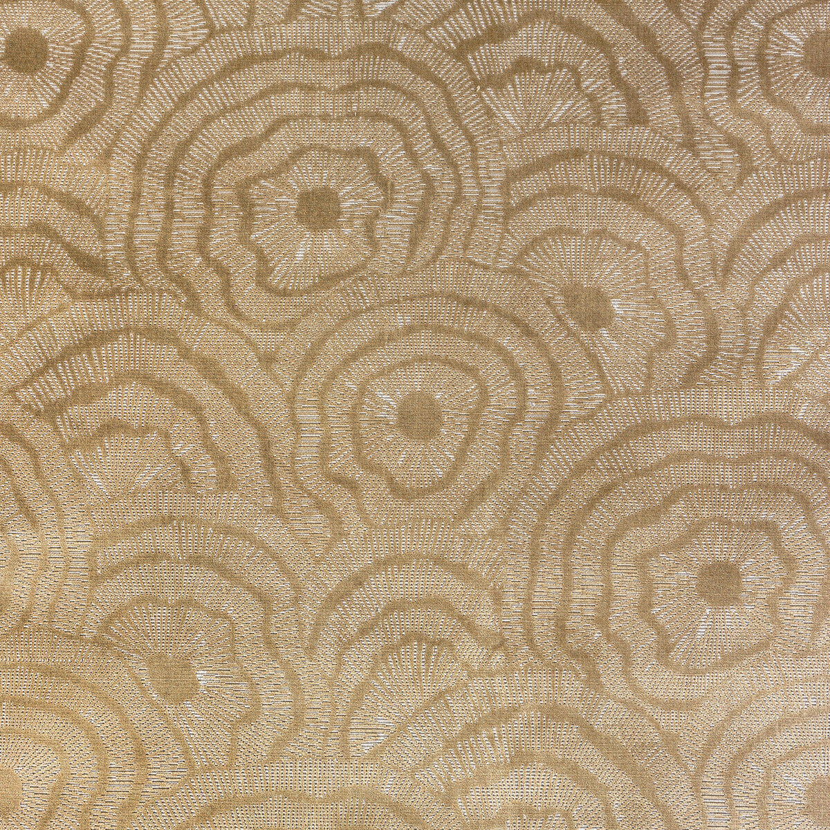 Panache Velvet fabric in gold color - pattern 36366.416.0 - by Kravet Couture in the Corey Damen Jenkins Trad Nouveau collection