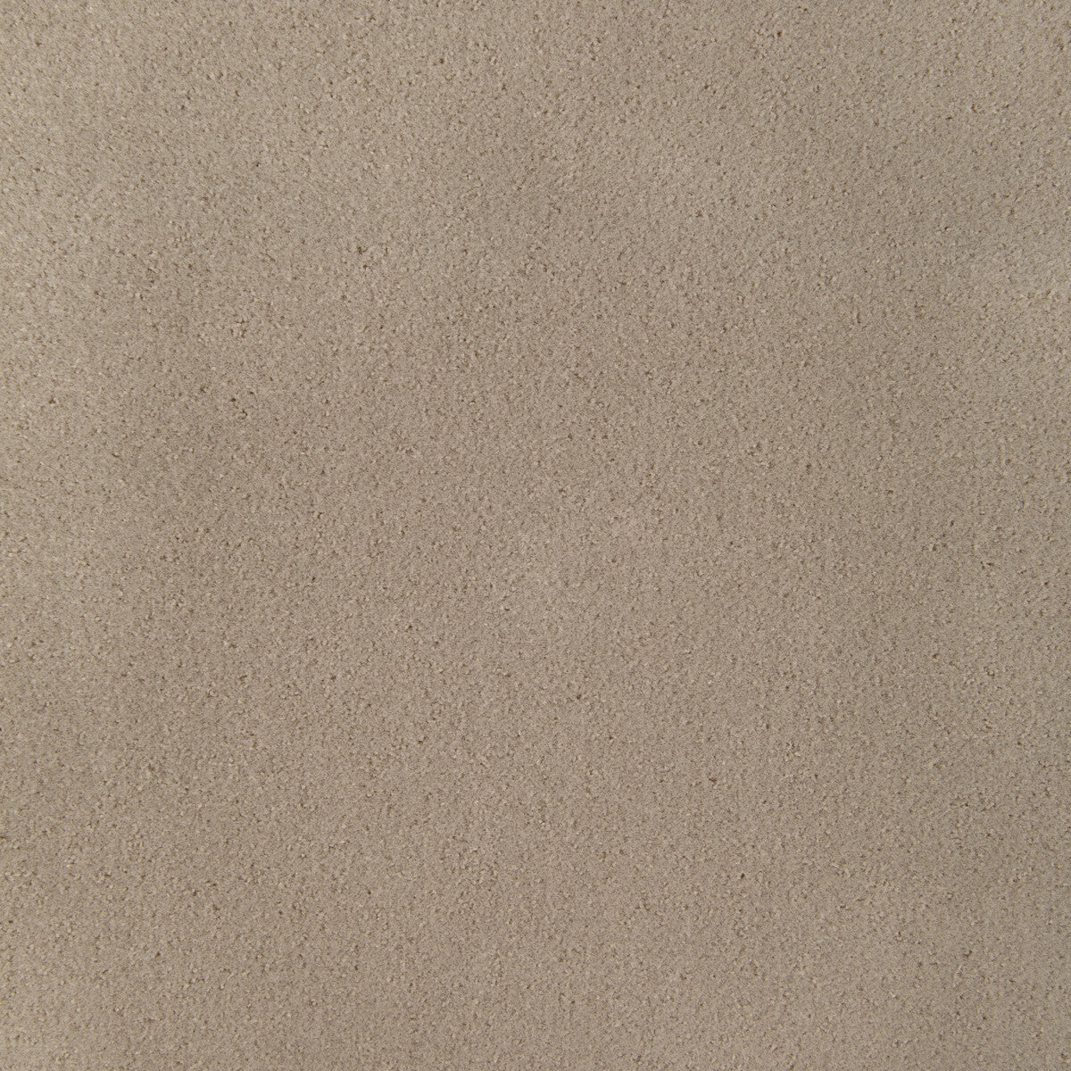 Fomo fabric in fawn color - pattern 36543.16.0 - by Kravet Contract