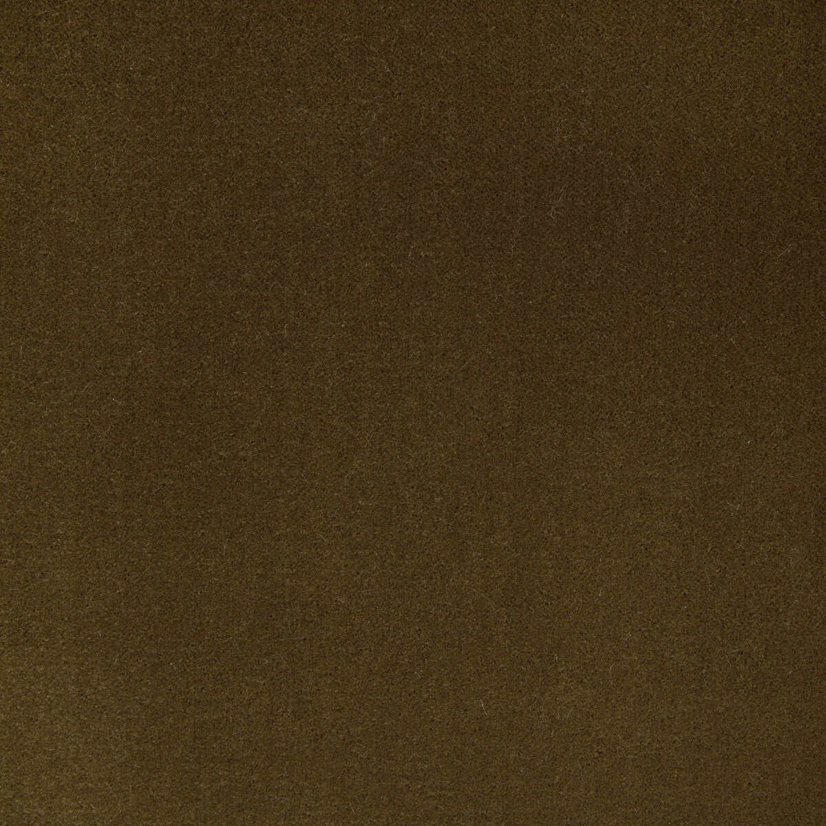 Fomo fabric in bronze color - pattern 36543.6.0 - by Kravet Contract