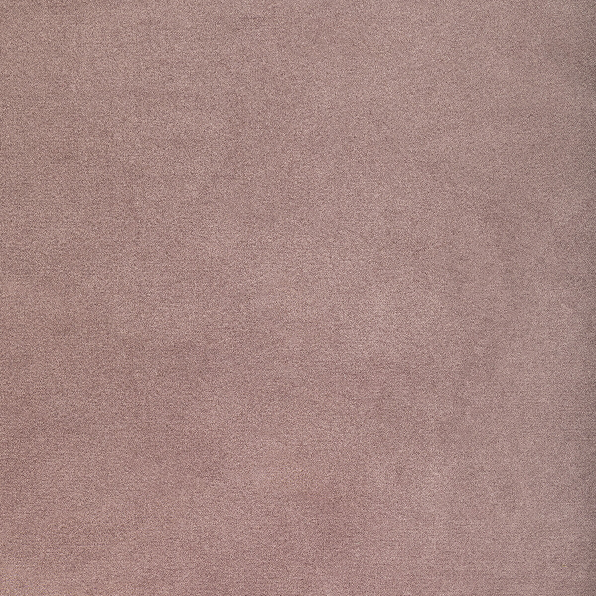 Rocco Velvet fabric in wisteria color - pattern 36652.110.0 - by Kravet Contract