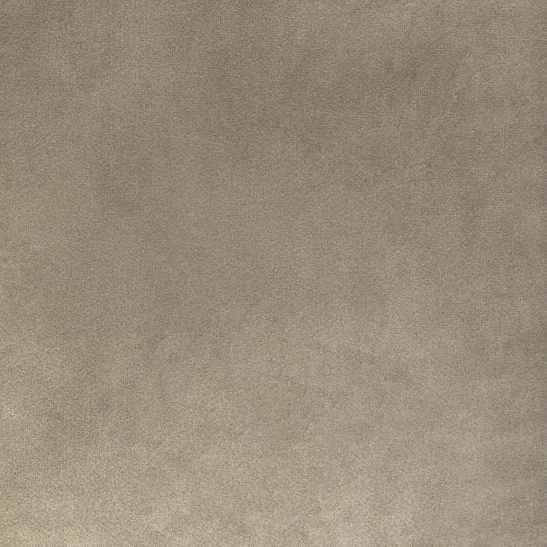 Rocco Velvet fabric in stone color - pattern 36652.16.0 - by Kravet Contract