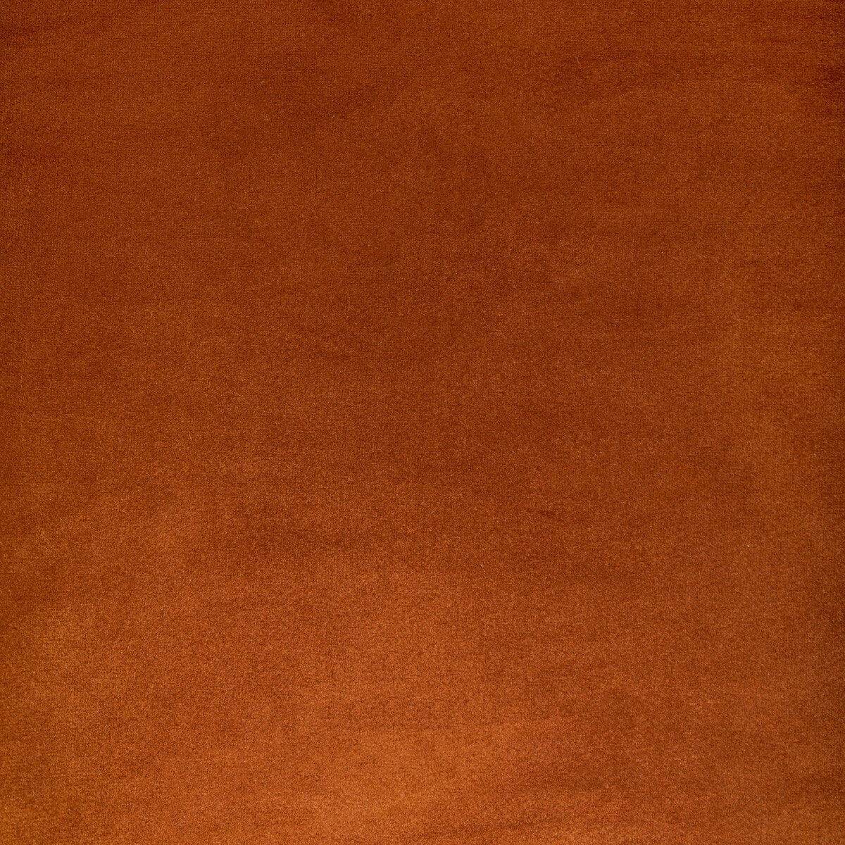 Rocco Velvet fabric in spice color - pattern 36652.24.0 - by Kravet Contract