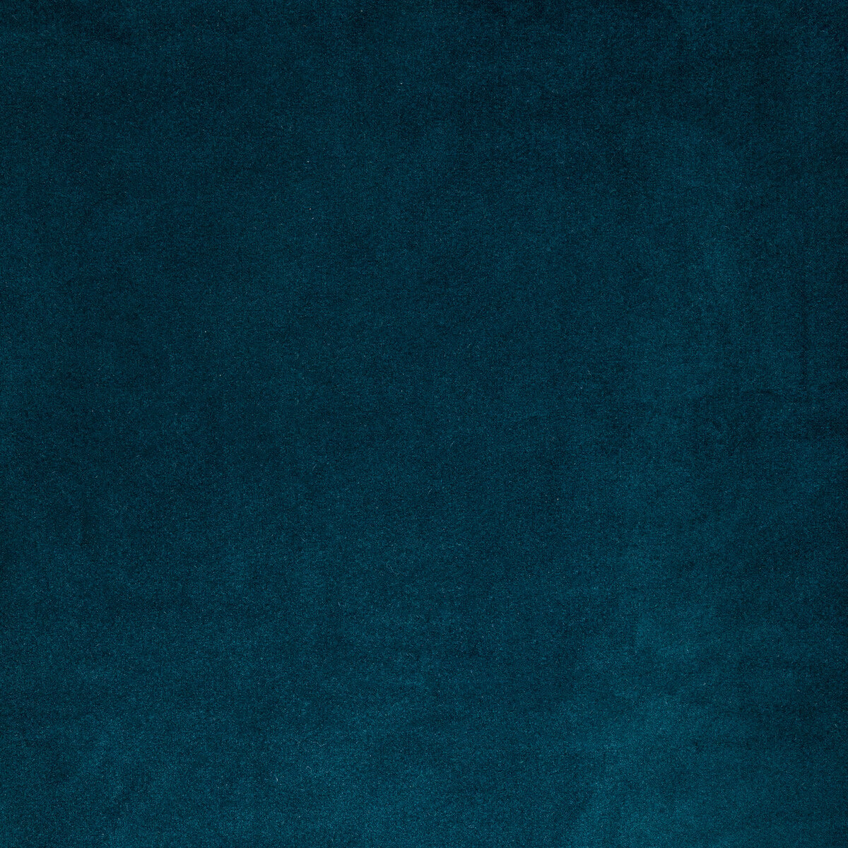 Rocco Velvet fabric in ink color - pattern 36652.5.0 - by Kravet Contract