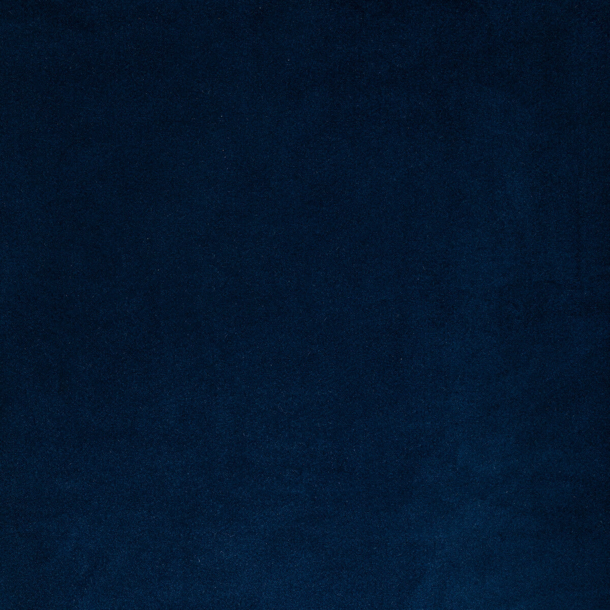 Rocco Velvet fabric in cobalt color - pattern 36652.50.0 - by Kravet Contract