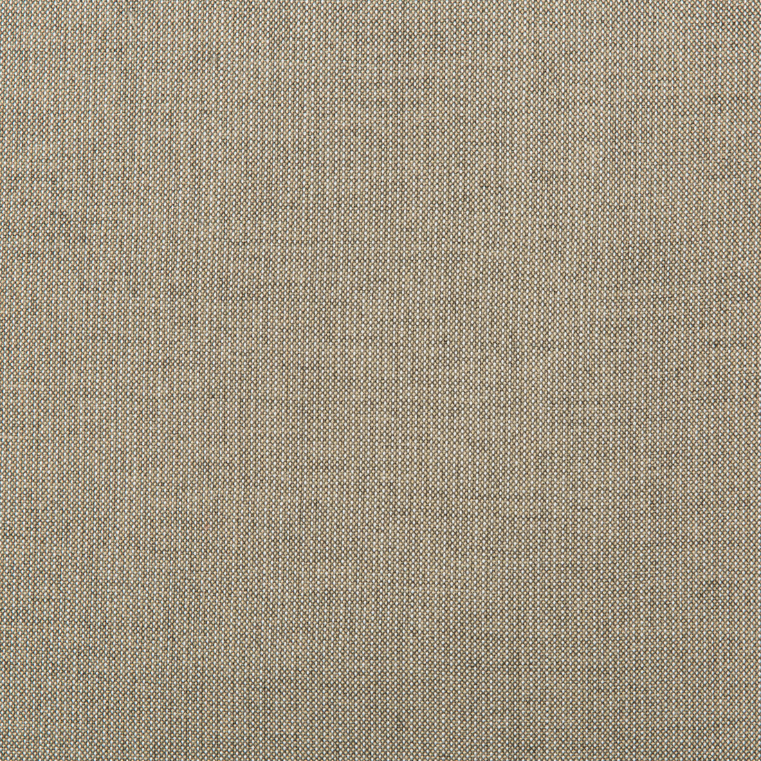 Kravet Basics fabric in 36820-106 color - pattern 36820.106.0 - by Kravet Basics in the Indoor / Outdoor collection