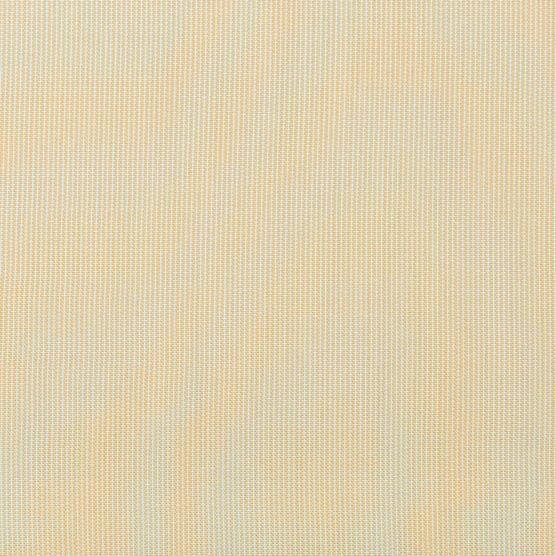 Kravet Basics fabric in 36820-16 color - pattern 36820.16.0 - by Kravet Basics in the Indoor / Outdoor collection