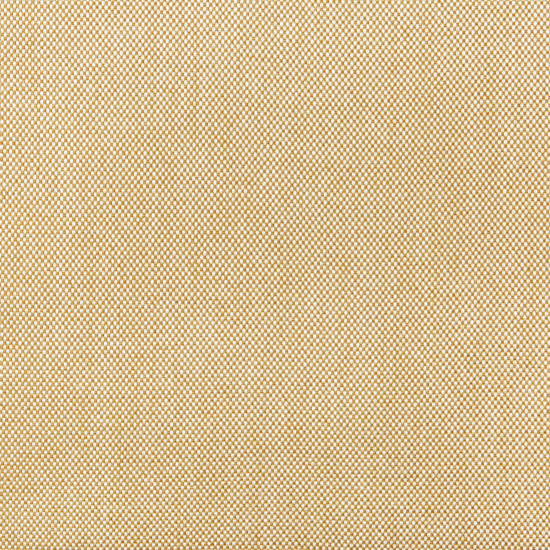Kravet Basics fabric in 36829-16 color - pattern 36829.16.0 - by Kravet Basics in the Indoor / Outdoor collection