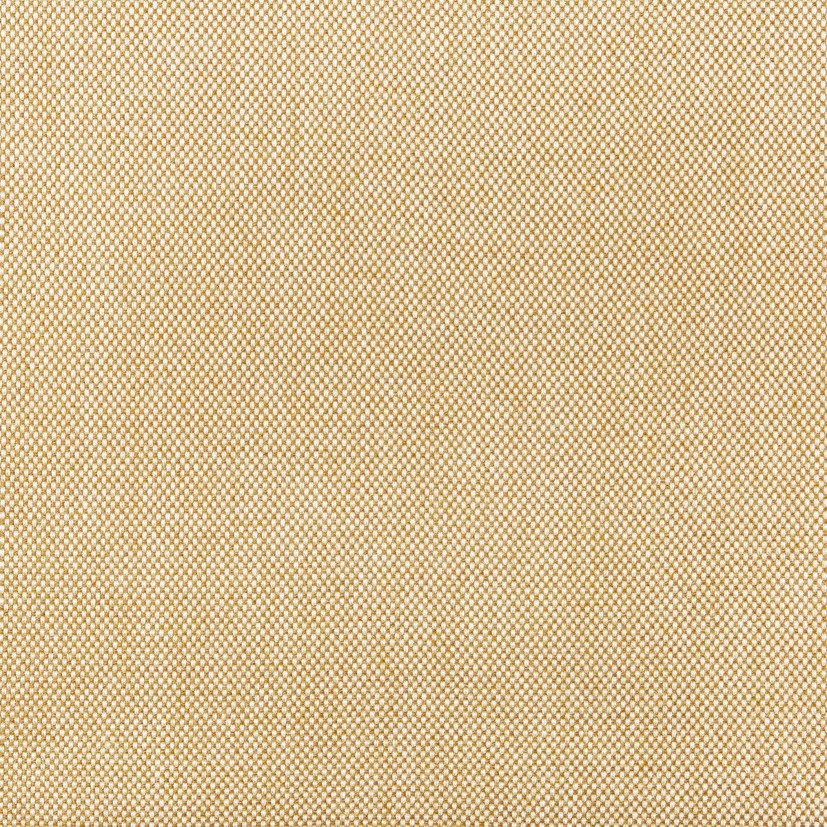 Kravet Basics fabric in 36829-16 color - pattern 36829.16.0 - by Kravet Basics in the Indoor / Outdoor collection