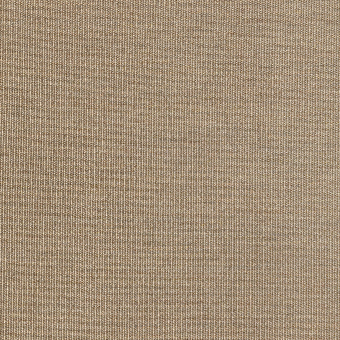 Kravet Basics fabric in 36843-1616 color - pattern 36843.1616.0 - by Kravet Basics in the Indoor / Outdoor collection