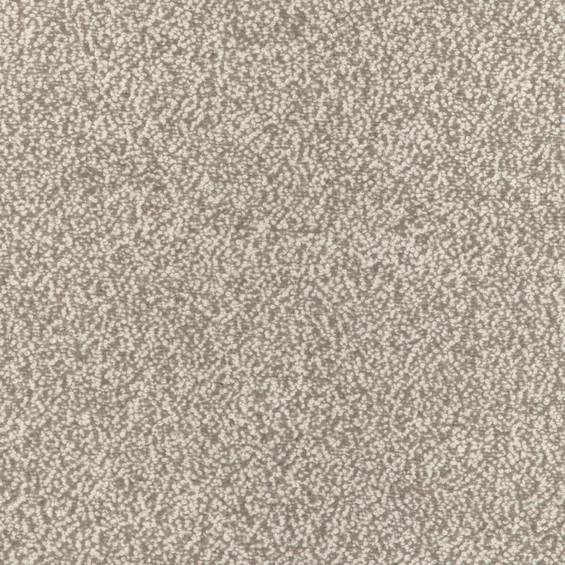Alpaca Boucle fabric in fawn color - pattern 36898.6.0 - by Kravet Couture in the Atelier Weaves collection