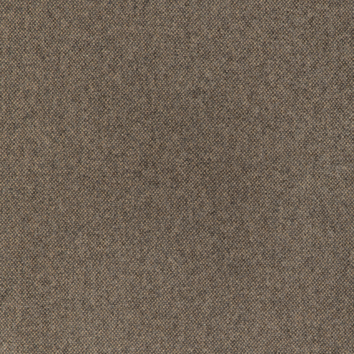 Manchester Wool fabric in biscotti color - pattern 37026.621.0 - by Kravet Contract