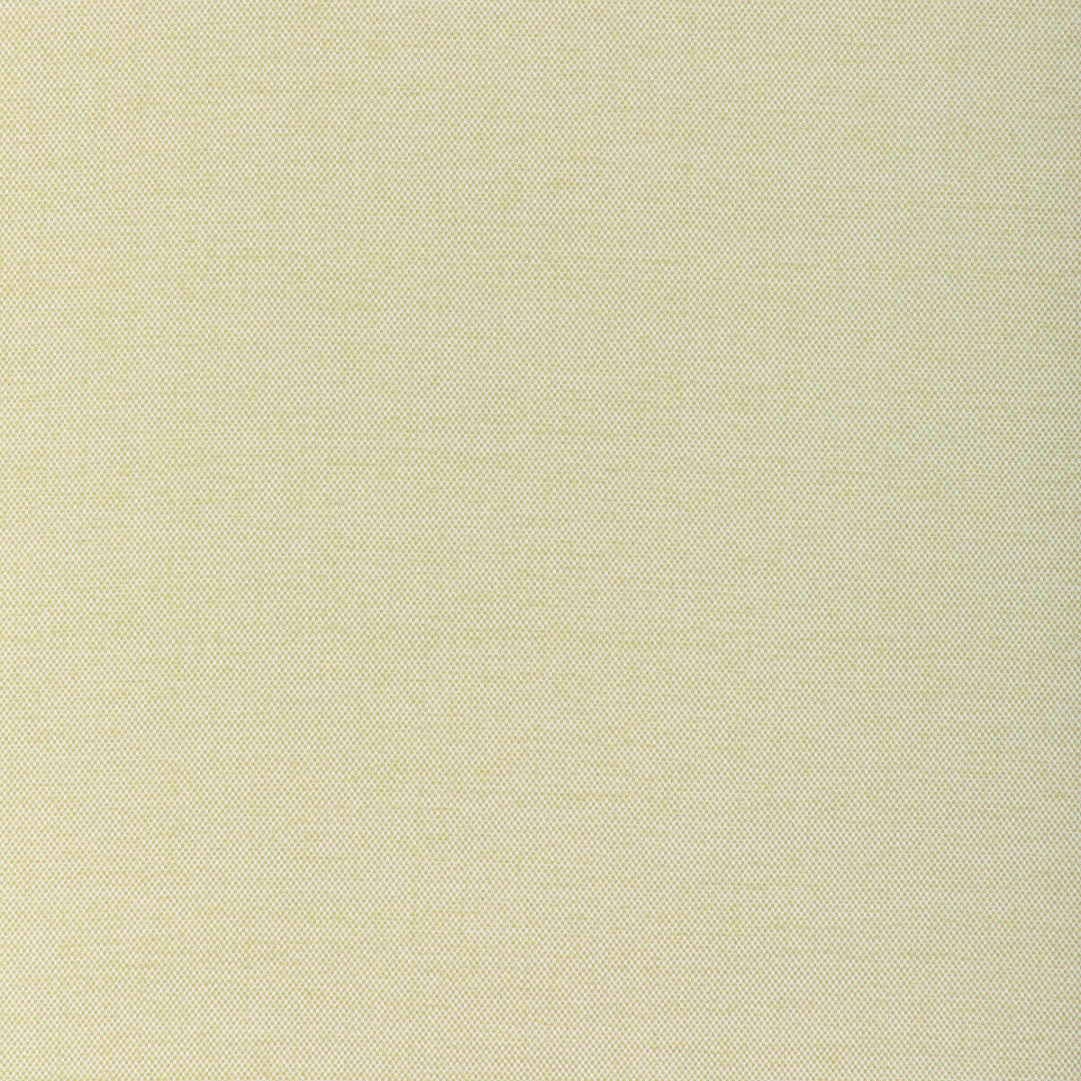 Softground fabric in cactus color - pattern number 37255.23.0 - by Kravet Couture in the Barbara Barry Landscape collection