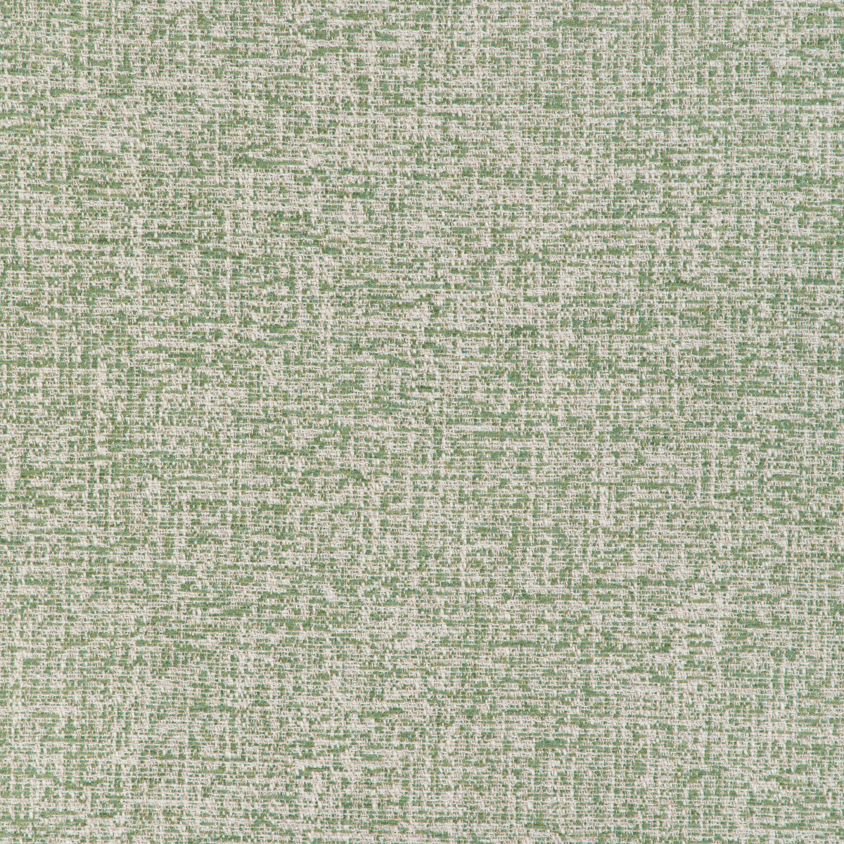 Esteban fabric in leaf color - pattern number 37298.3.0 - by Kravet Basics in the Modern Gallery collection