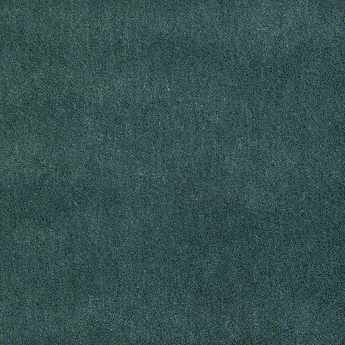 37303 fabric in 13 color - pattern number 37303.13.0 - by Kravet Smart in the The Complete Velvet collection