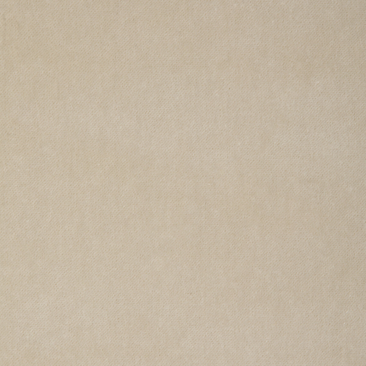 37303 fabric in 1 color - pattern number 37303.1.0 - by Kravet Smart in the The Complete Velvet collection