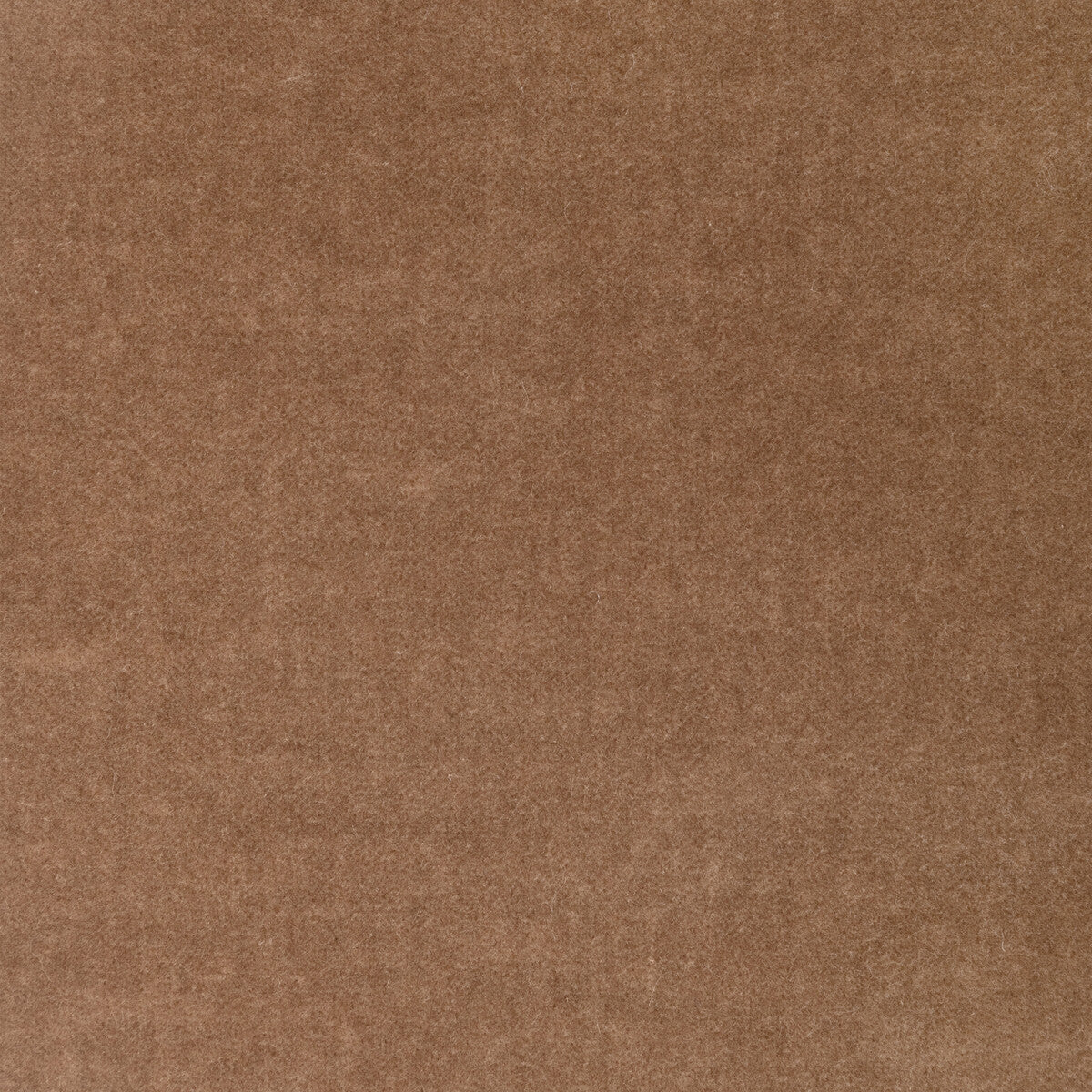 37306 fabric in 116 color - pattern number 37306.116.0 - by Kravet Design in the The Complete Velvet collection