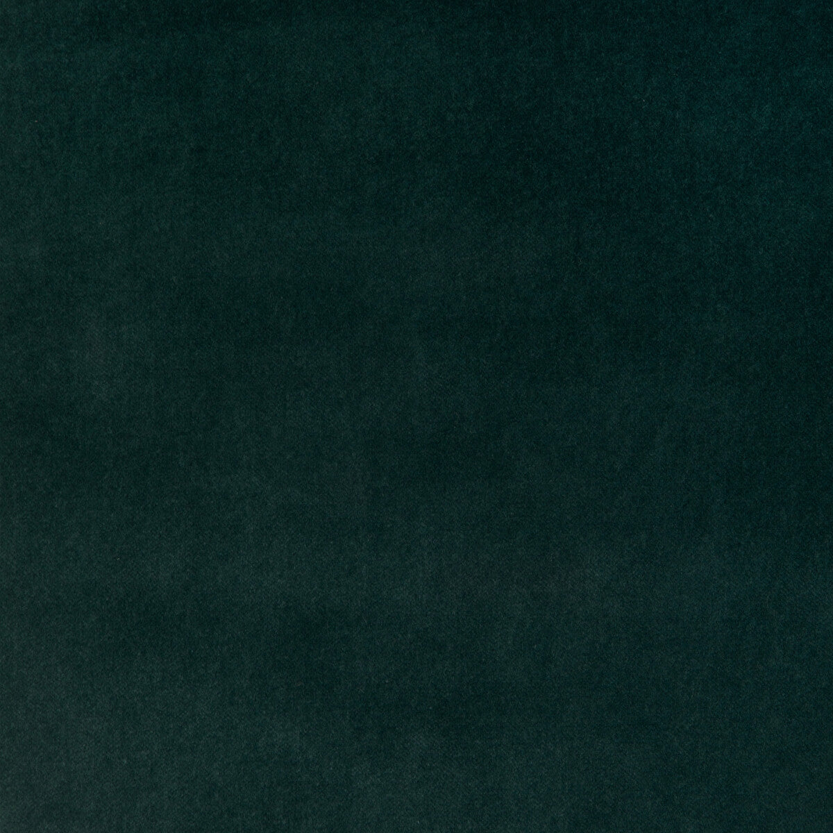 37306 fabric in 313 color - pattern number 37306.313.0 - by Kravet Design in the The Complete Velvet collection