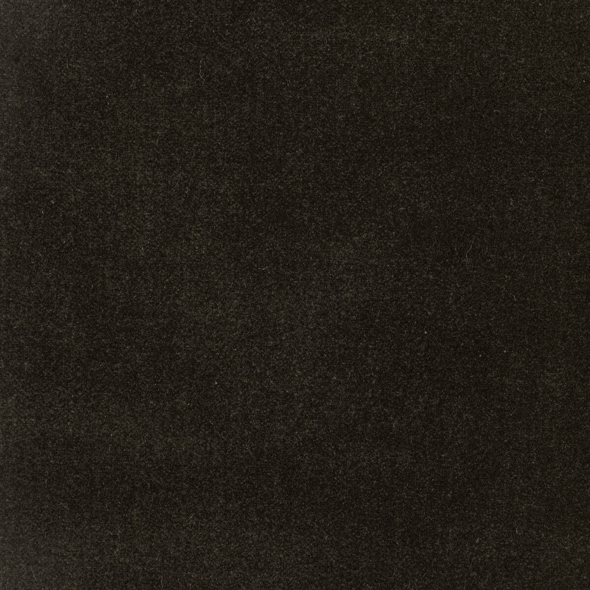 37306 fabric in 66 color - pattern number 37306.66.0 - by Kravet Design in the The Complete Velvet collection