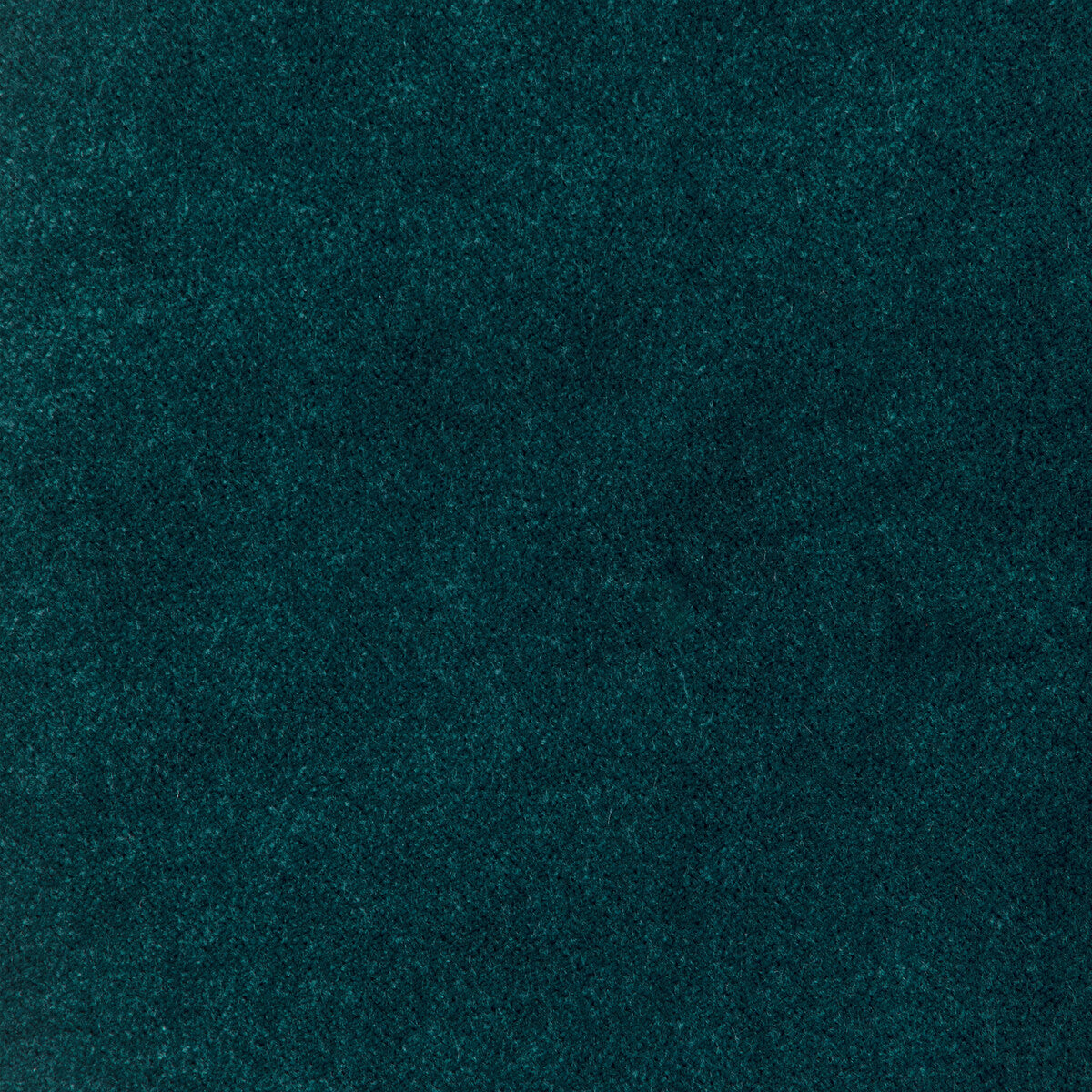 37309 fabric in 35 color - pattern number 37309.35.0 - by Kravet Design in the The Complete Velvet collection