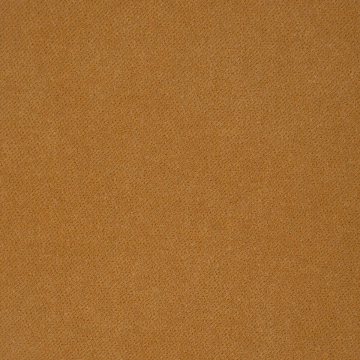 37309 fabric in 4 color - pattern number 37309.4.0 - by Kravet Design in the The Complete Velvet collection