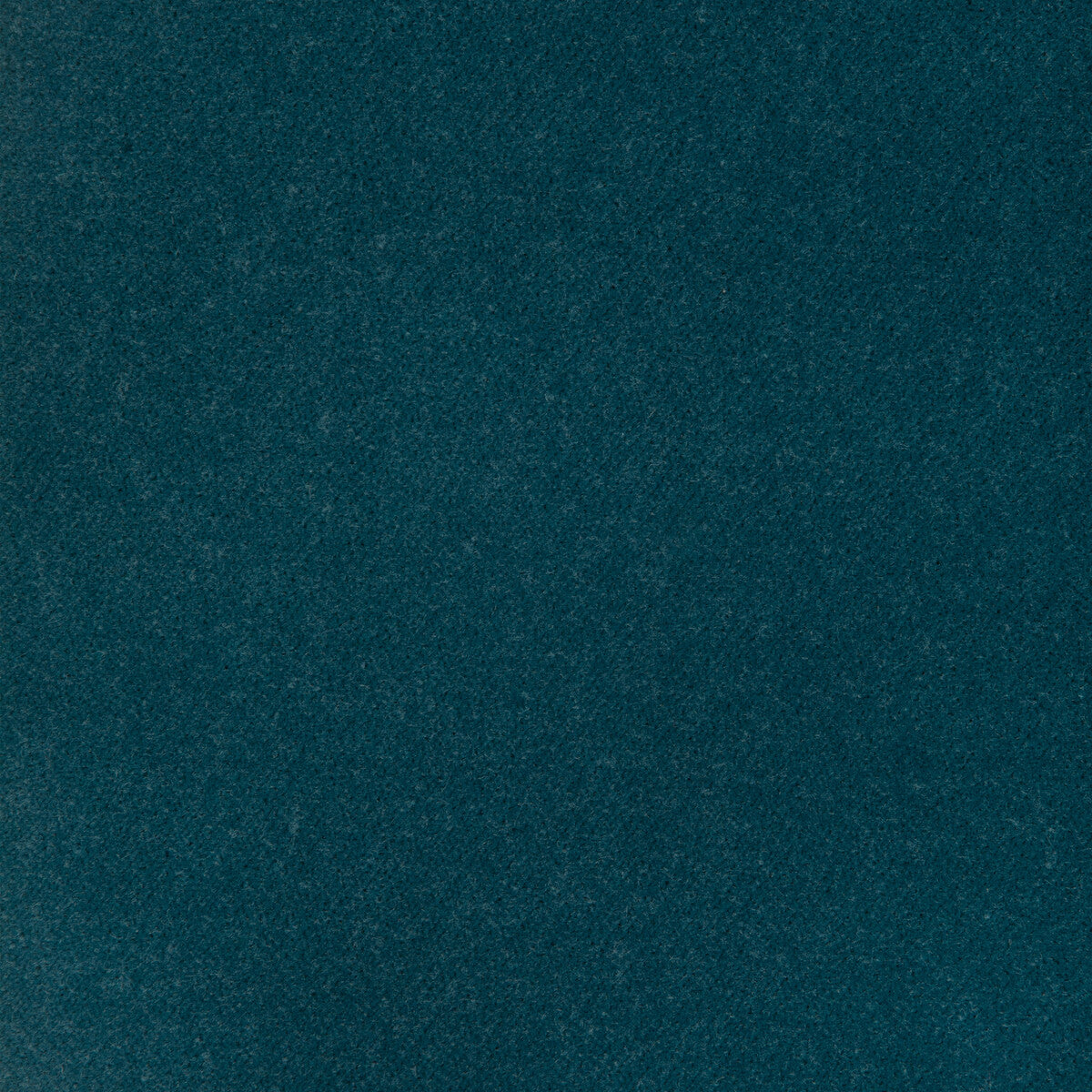 37312 fabric in 135 color - pattern number 37312.135.0 - by Kravet Design in the The Complete Velvet collection