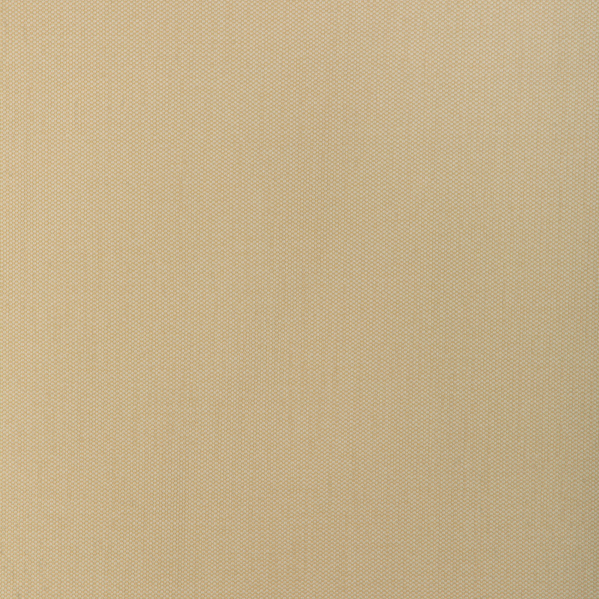 37337 fabric in 116 color - pattern number 37337.116.0 - by Kravet Smart in the Indoor Outdoor Essentials collection