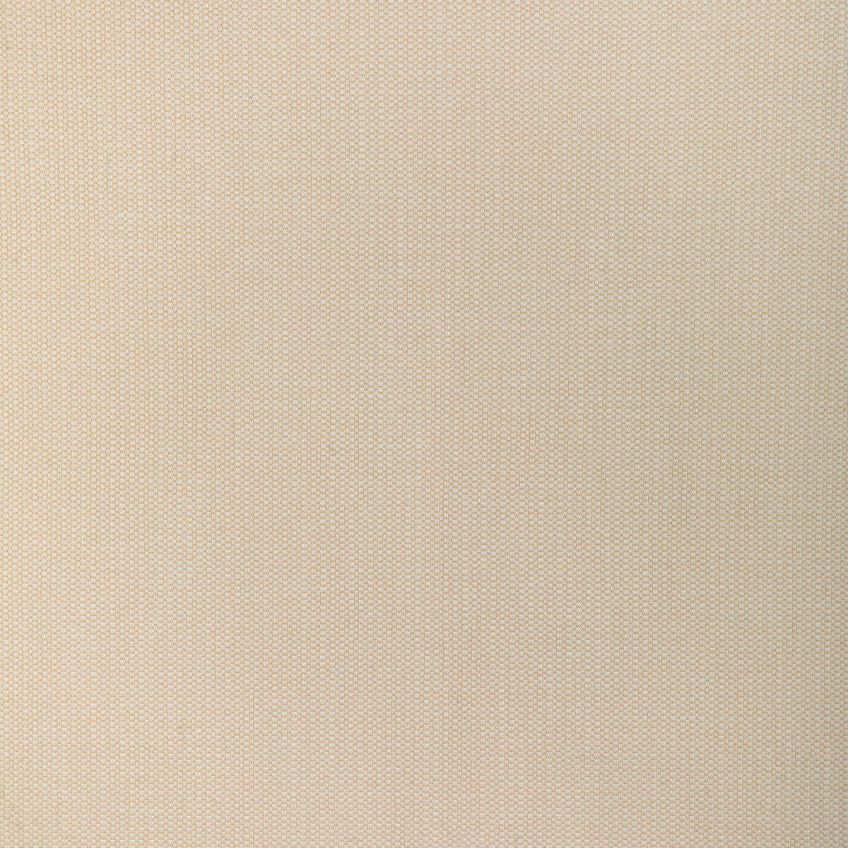 37337 fabric in 161 color - pattern number 37337.161.0 - by Kravet Smart in the Indoor Outdoor Essentials collection