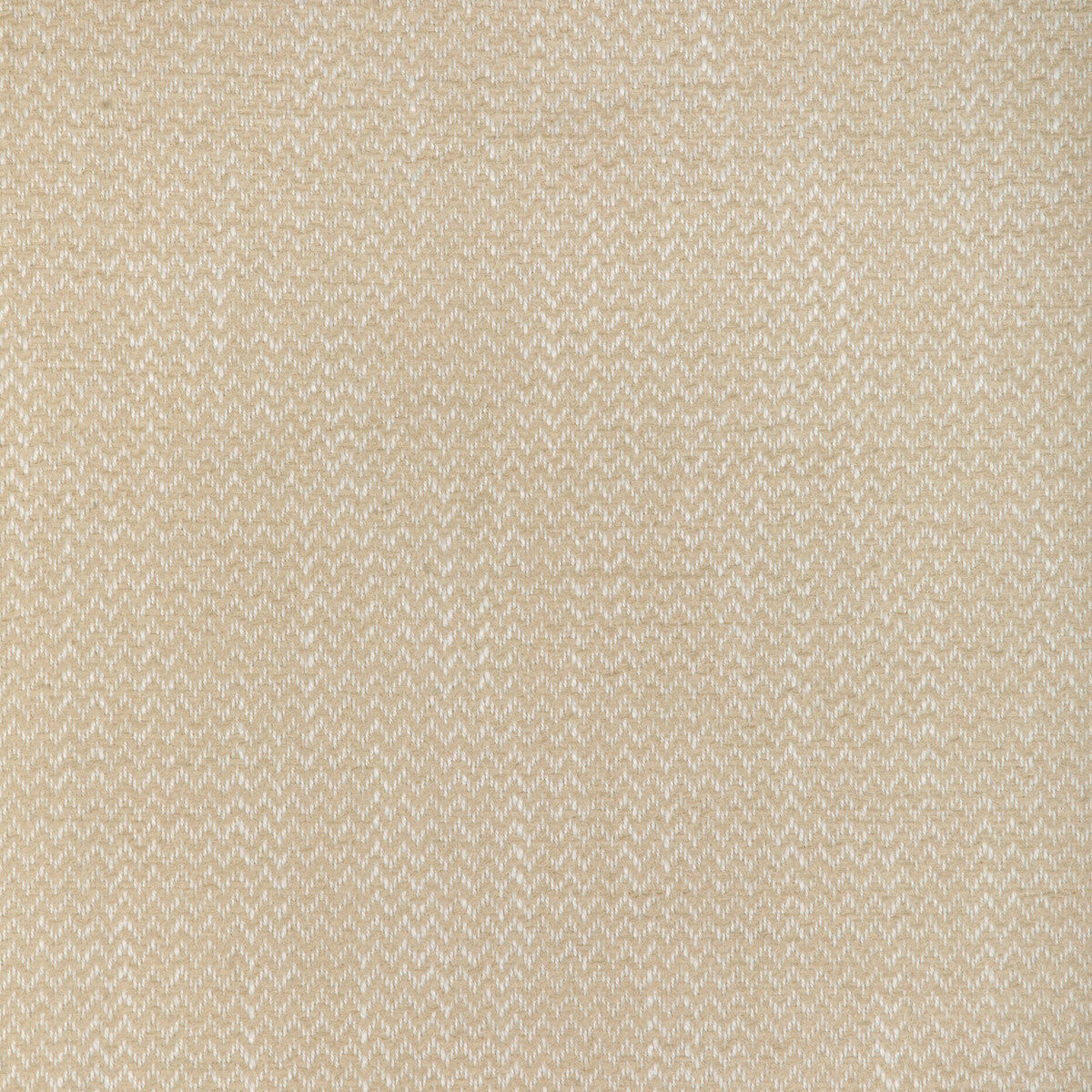 37341 fabric in 1601 color - pattern number 37341.1601.0 - by Kravet Smart in the Indoor Outdoor Essentials collection