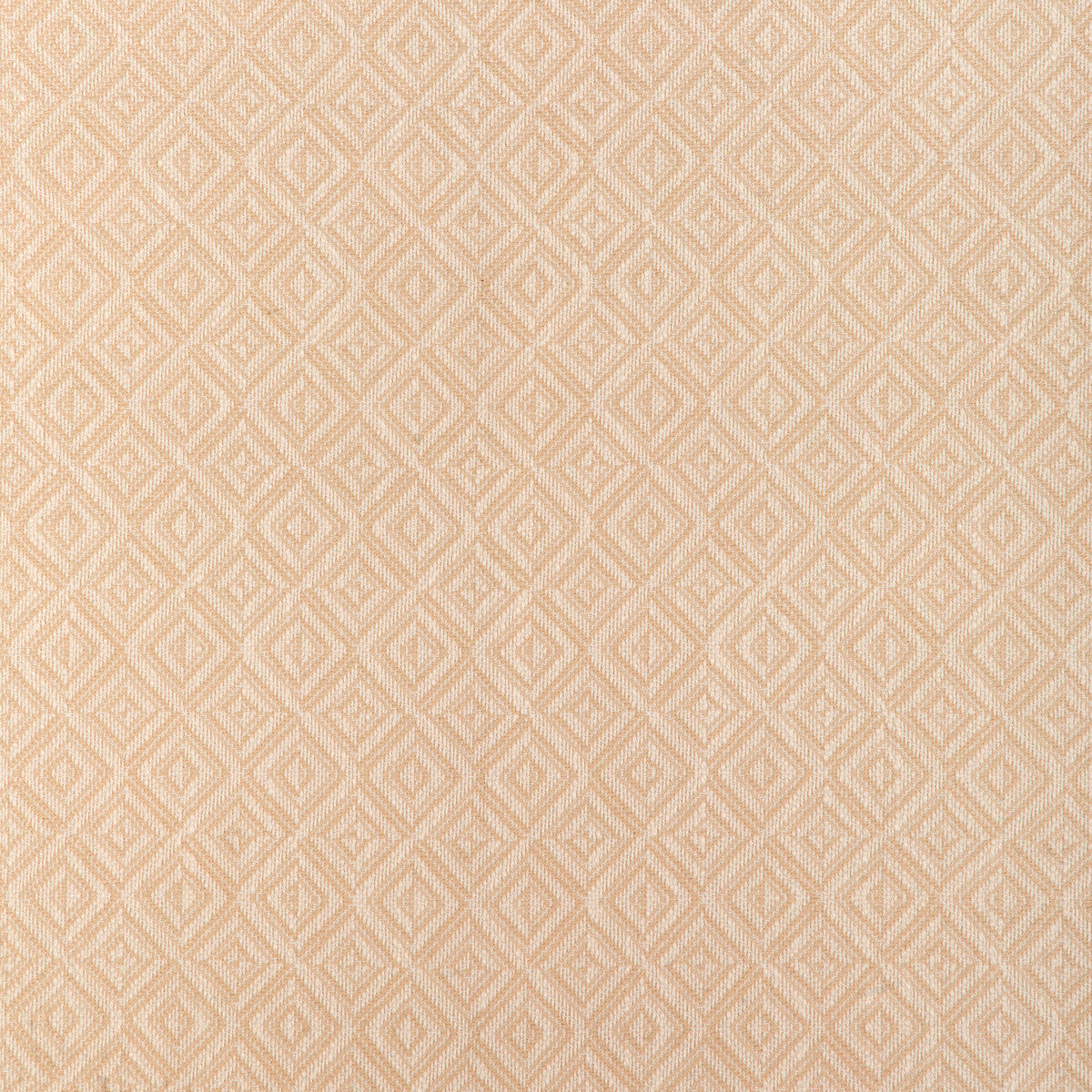 37371 fabric in 1601 color - pattern number 37371.1601.0 - by Kravet Smart in the Indoor Outdoor Essentials collection