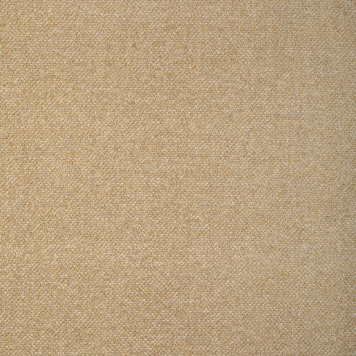 37499 fabric in 416 color - pattern number 37499.416.0 - by Kravet Smart in the Woven Colors collection