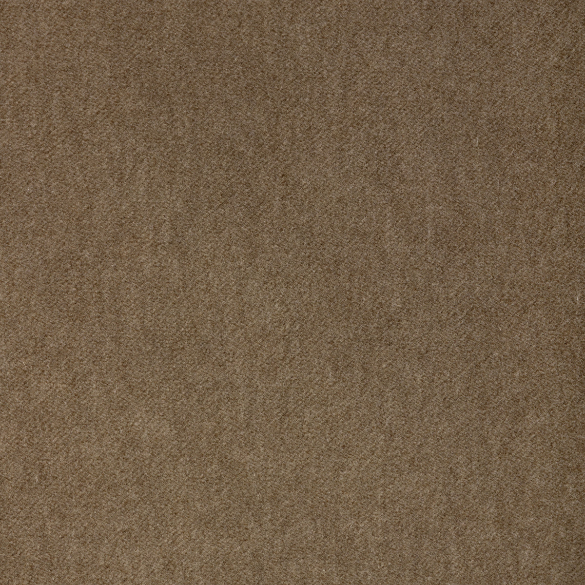 Tempo fabric in Twine color - pattern number 37696.106.0 - by Kravet Contract in the Tempo Velvets collection