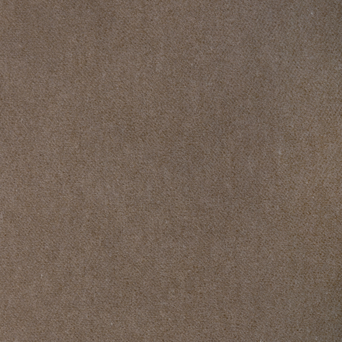 Tempo fabric in Overcast color - pattern number 37696.11.0 - by Kravet Contract in the Tempo Velvets collection
