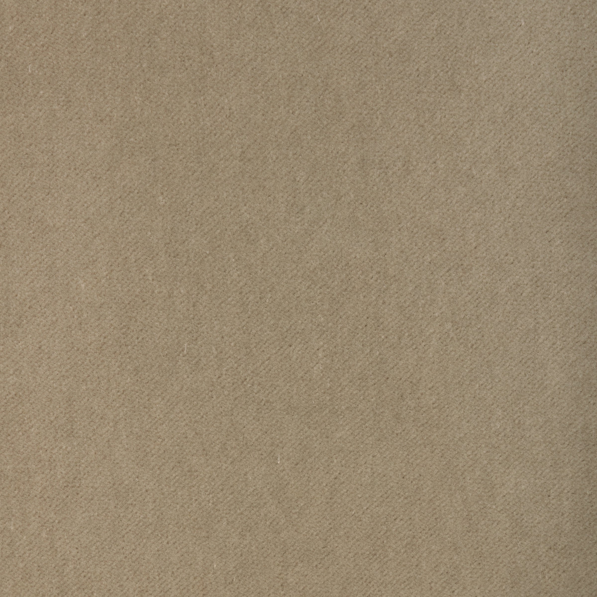 Tempo fabric in Canvas color - pattern number 37696.1116.0 - by Kravet Contract in the Tempo Velvets collection