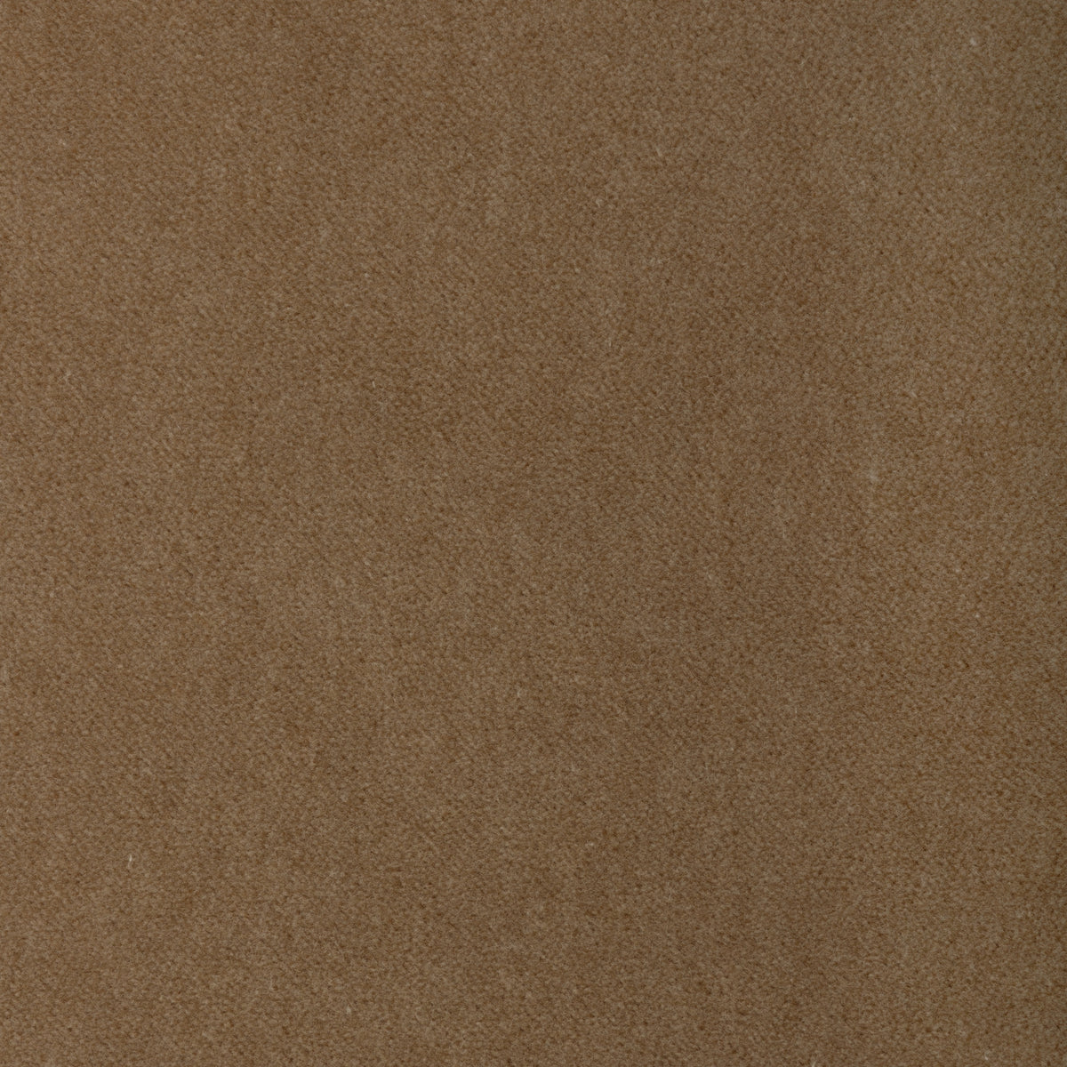 Tempo fabric in Brulee color - pattern number 37696.16.0 - by Kravet Contract in the Tempo Velvets collection