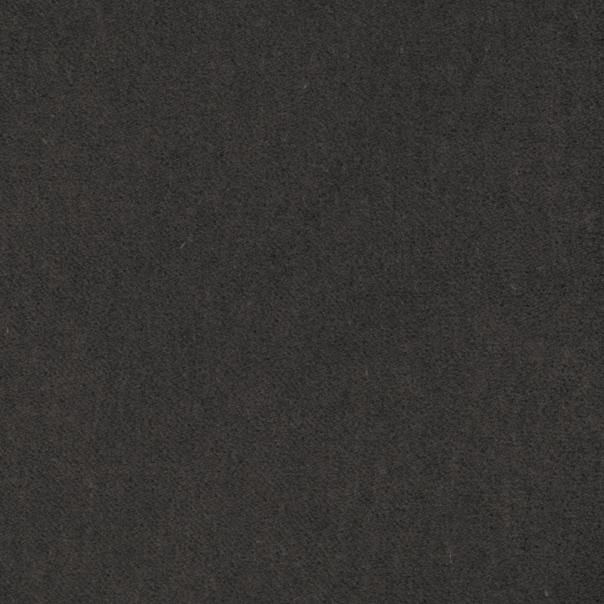 Tempo fabric in Graphite color - pattern number 37696.21.0 - by Kravet Contract in the Tempo Velvets collection