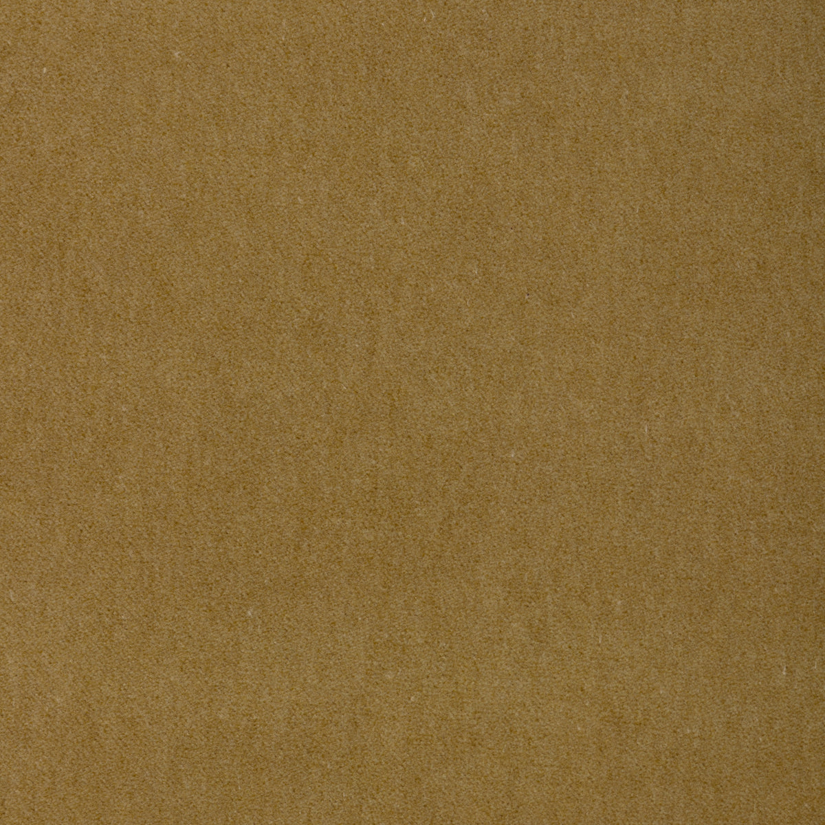 Tempo fabric in Green Tea color - pattern number 37696.34.0 - by Kravet Contract in the Tempo Velvets collection