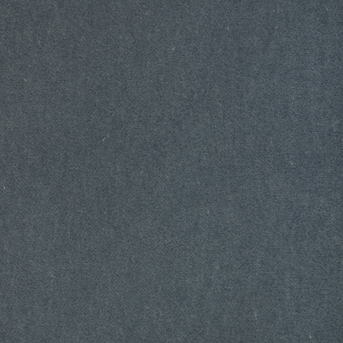 Tempo fabric in Emperor color - pattern number 37696.5.0 - by Kravet Contract in the Tempo Velvets collection