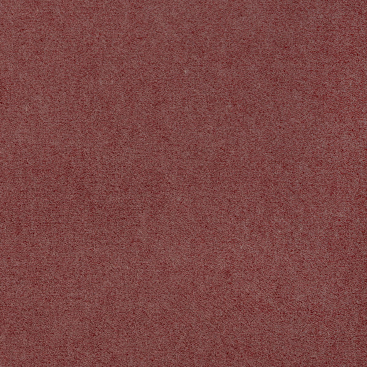 Tempo fabric in Petal color - pattern number 37696.7.0 - by Kravet Contract in the Tempo Velvets collection
