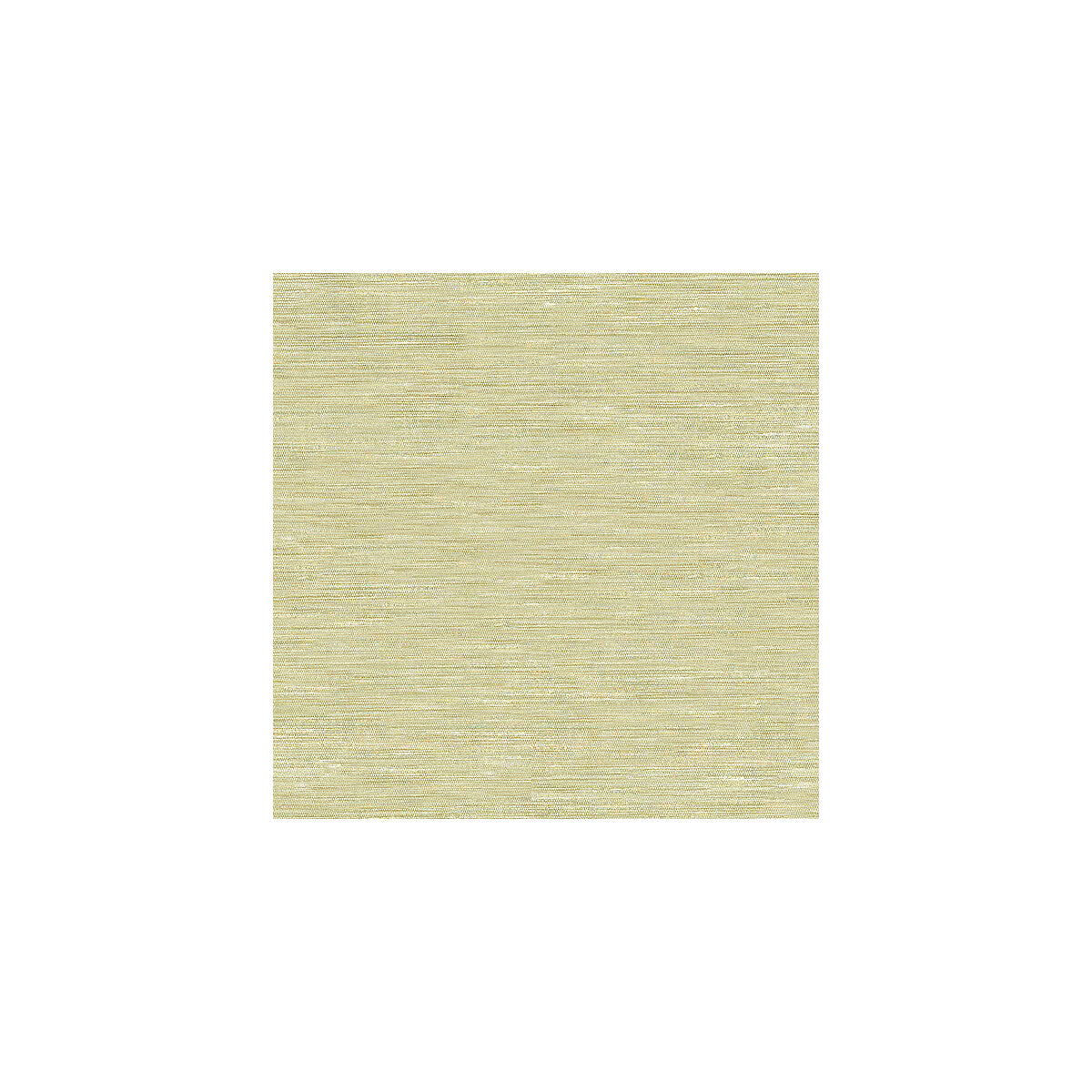 Kravet Basics fabric in 3779-1116 color - pattern 3779.1116.0 - by Kravet Basics