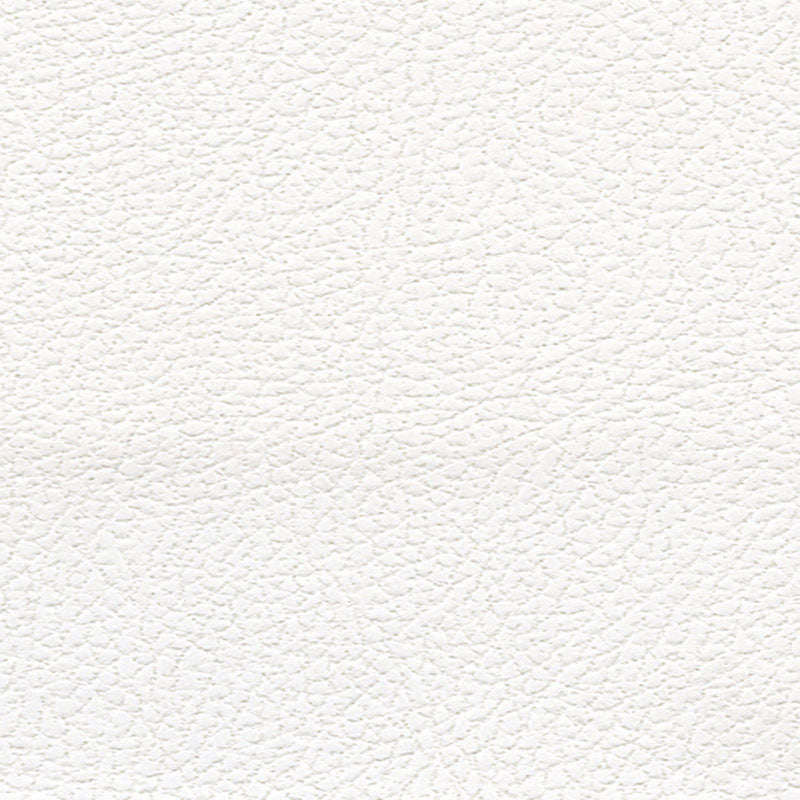 Brisa Soleil Indoor Outdoor fabric in polar color - pattern number 393-5750 - by Schumacher in the Ultraleather collection