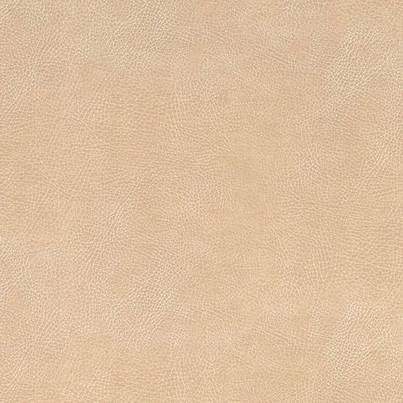 Brisa Soleil Distressed fabric in chamois color - pattern number 396-3024 - by Schumacher in the Steel Magnolia collection
