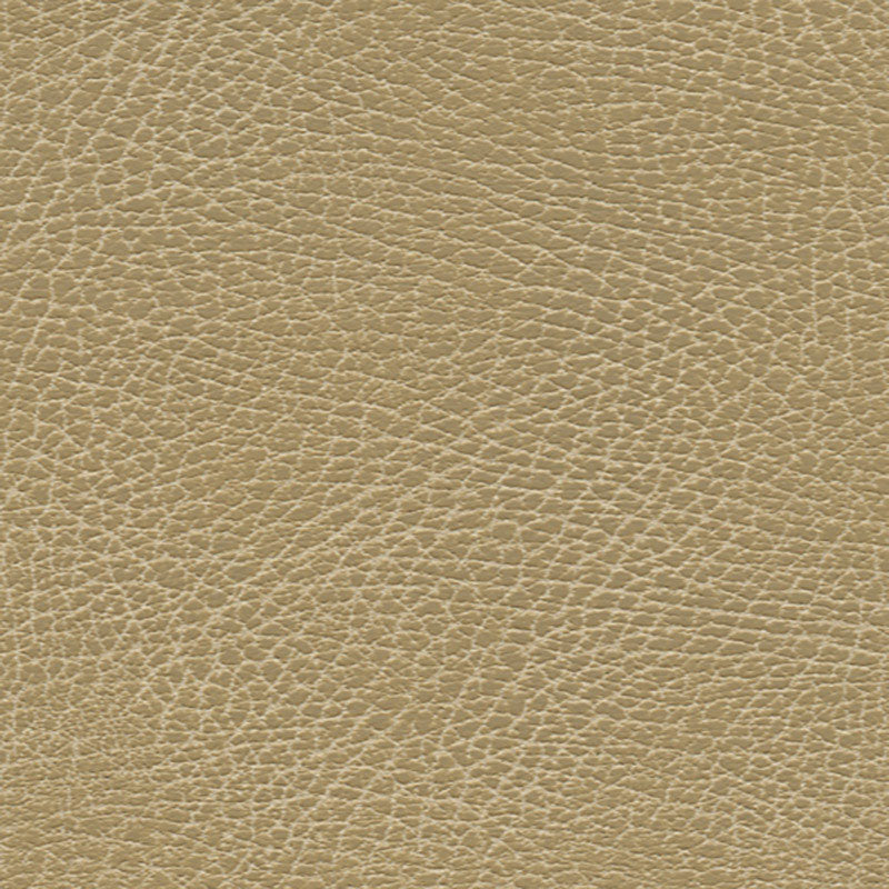 Brisa Soleil Distressed fabric in bucks color - pattern number 396-3134 - by Schumacher in the Ultraleather collection