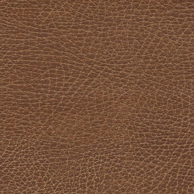 Brisa Soleil Distressed fabric in lasso color - pattern number 396-3972 - by Schumacher in the Ultraleather collection