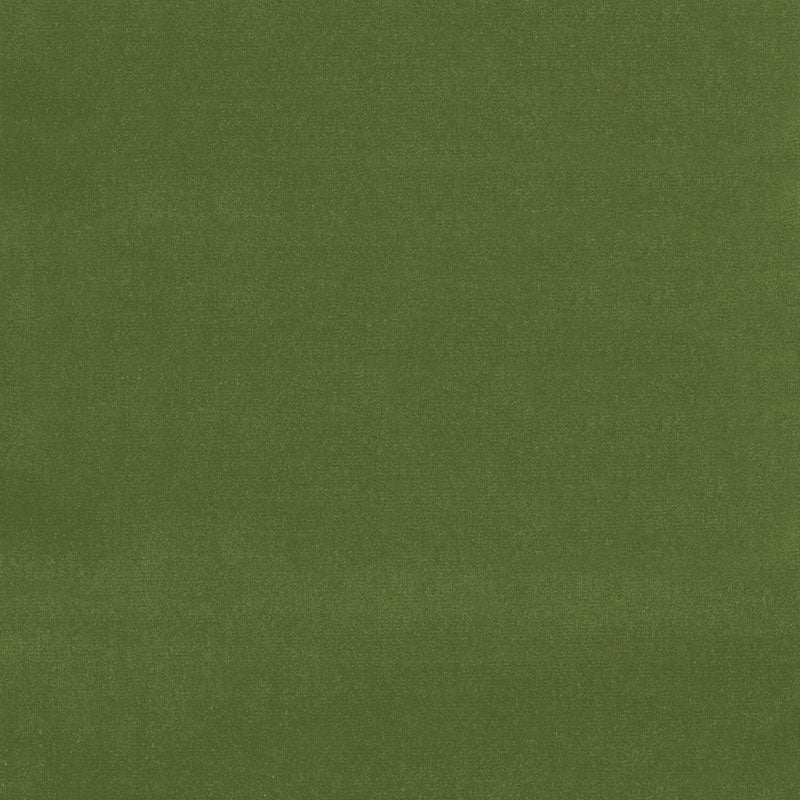 Gainsborough Velvet fabric in fern color - pattern number 42869 - by Schumacher in the Perfect Basics: Velvet collection