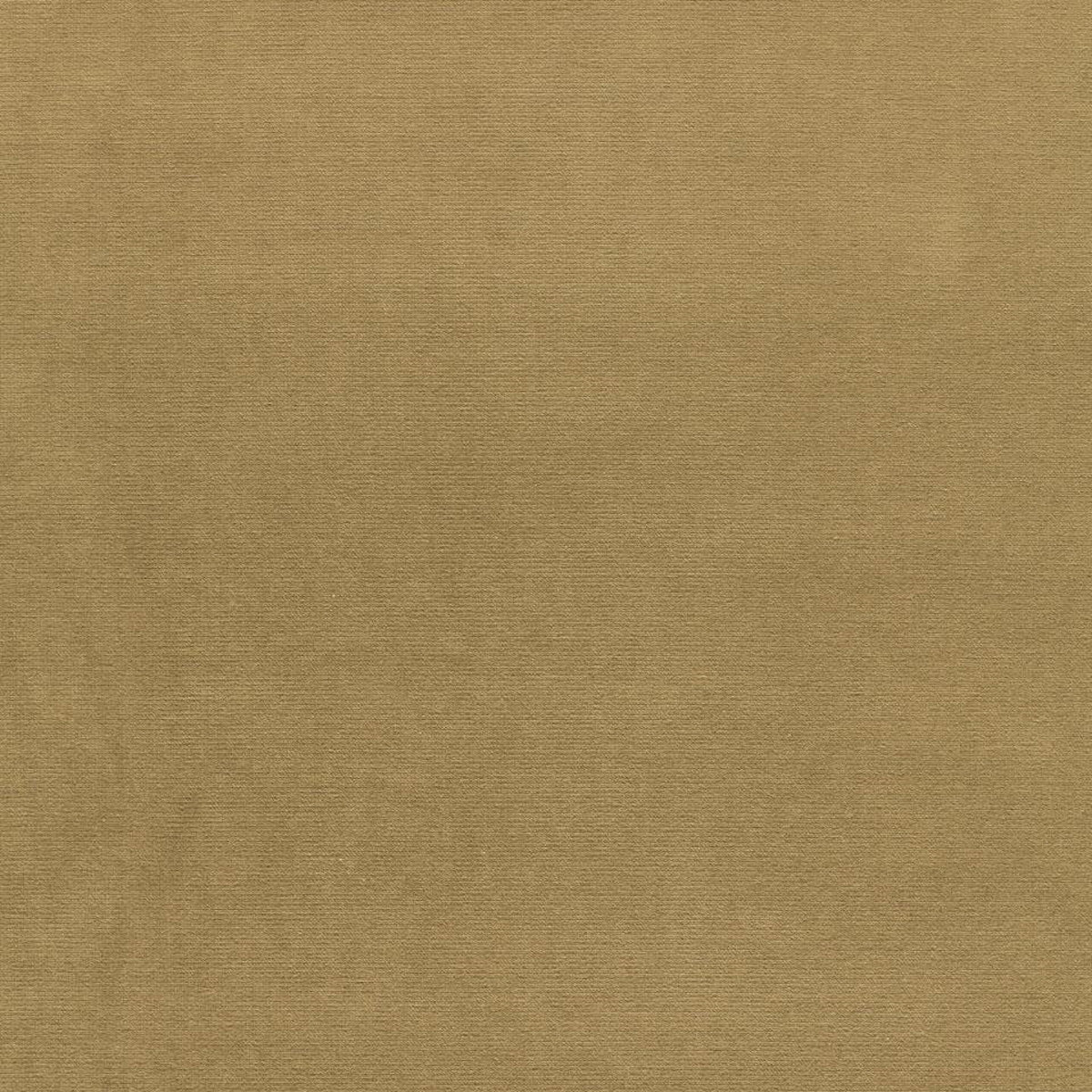 Gainsborough Velvet fabric in pistachio color - pattern number 42872 - by Schumacher in the Perfect Basics: Velvet collection