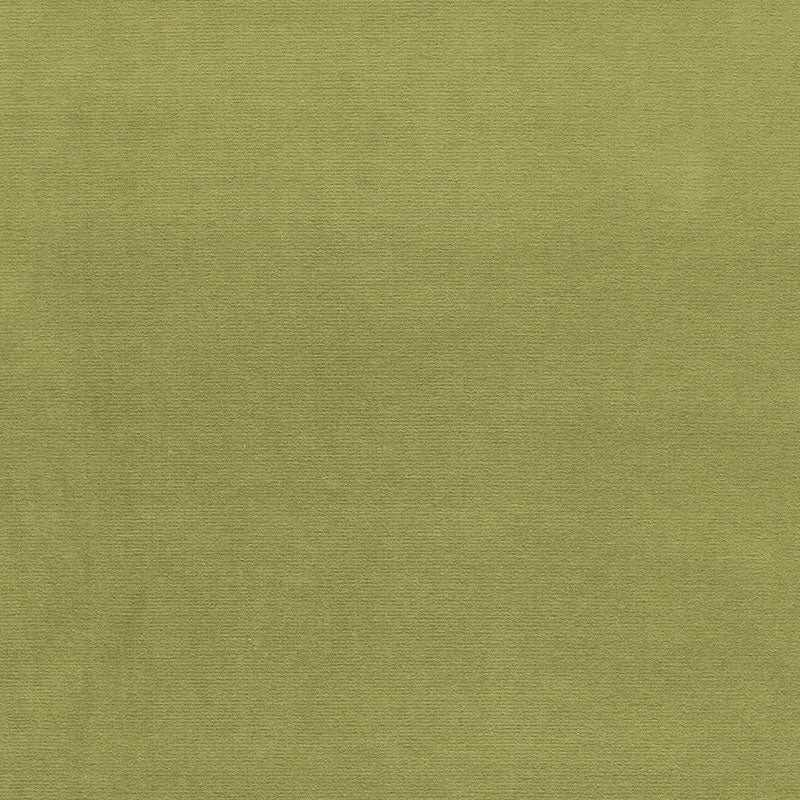 Gainsborough Velvet fabric in palm color - pattern number 43258 - by Schumacher in the Perfect Basics: Velvet collection